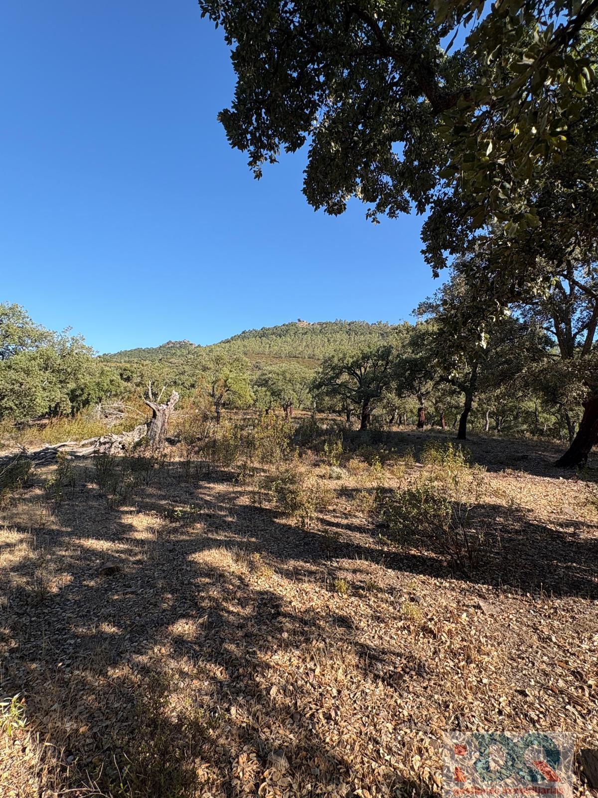 Venta de finca rústica en Alburquerque