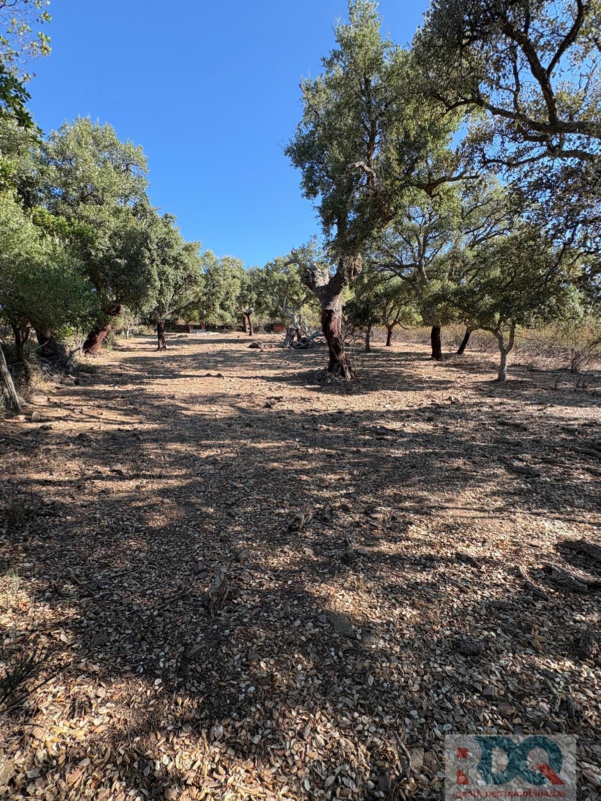 Venta de finca rústica en Alburquerque