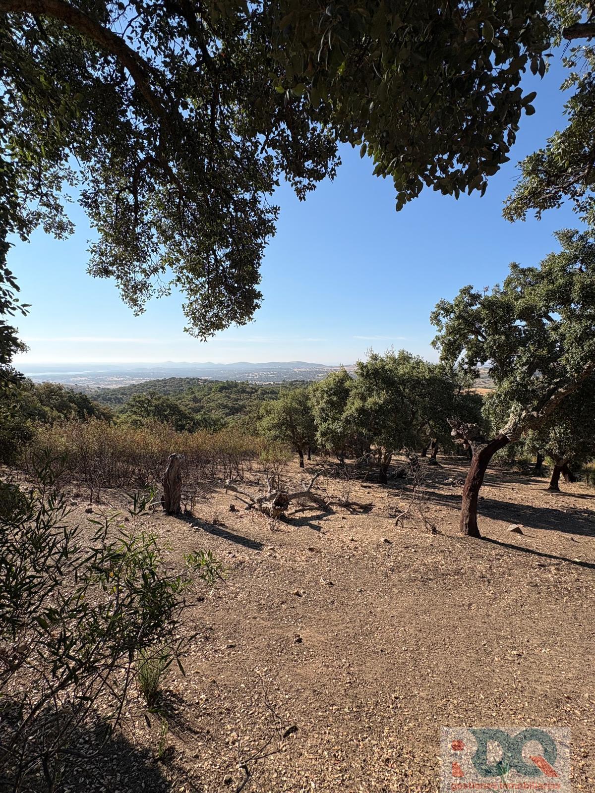Venta de finca rústica en Alburquerque