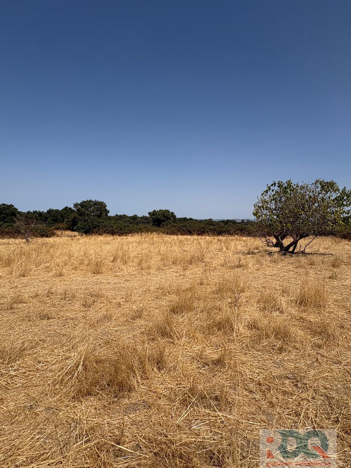 Venta de finca rústica en Alburquerque