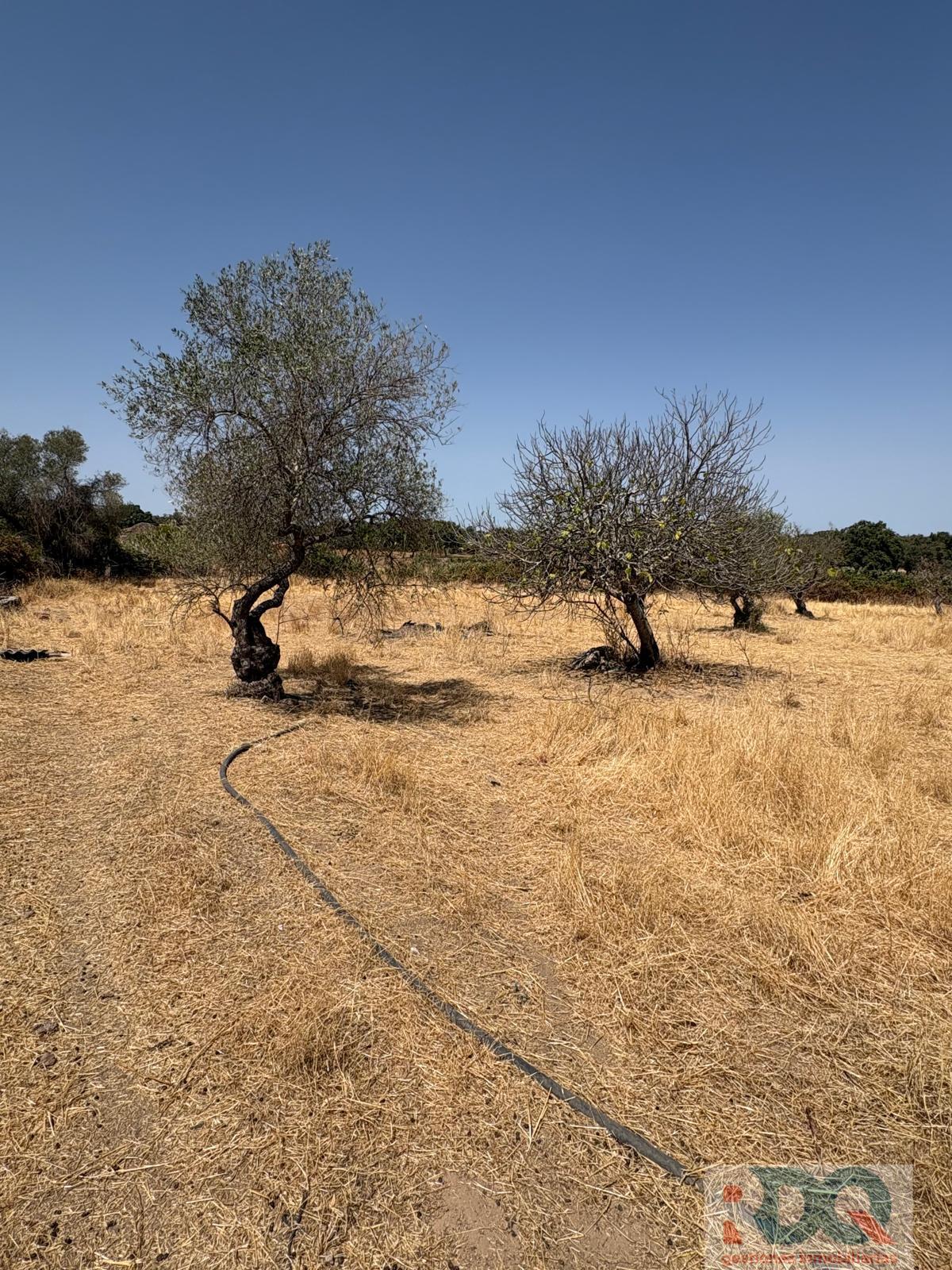 Venta de finca rústica en Alburquerque