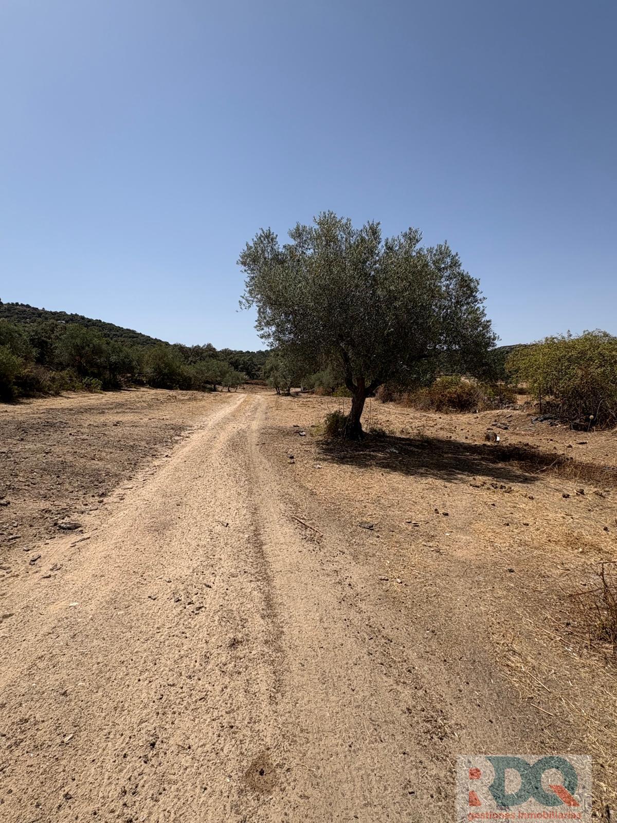 Venta de finca rústica en Alburquerque