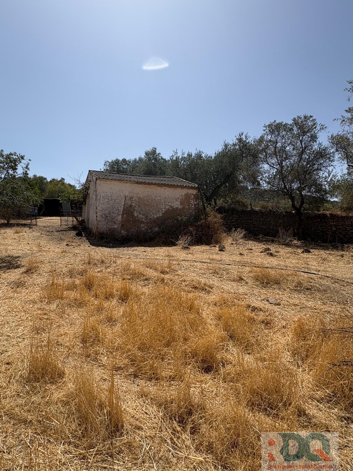 Venta de finca rústica en Alburquerque