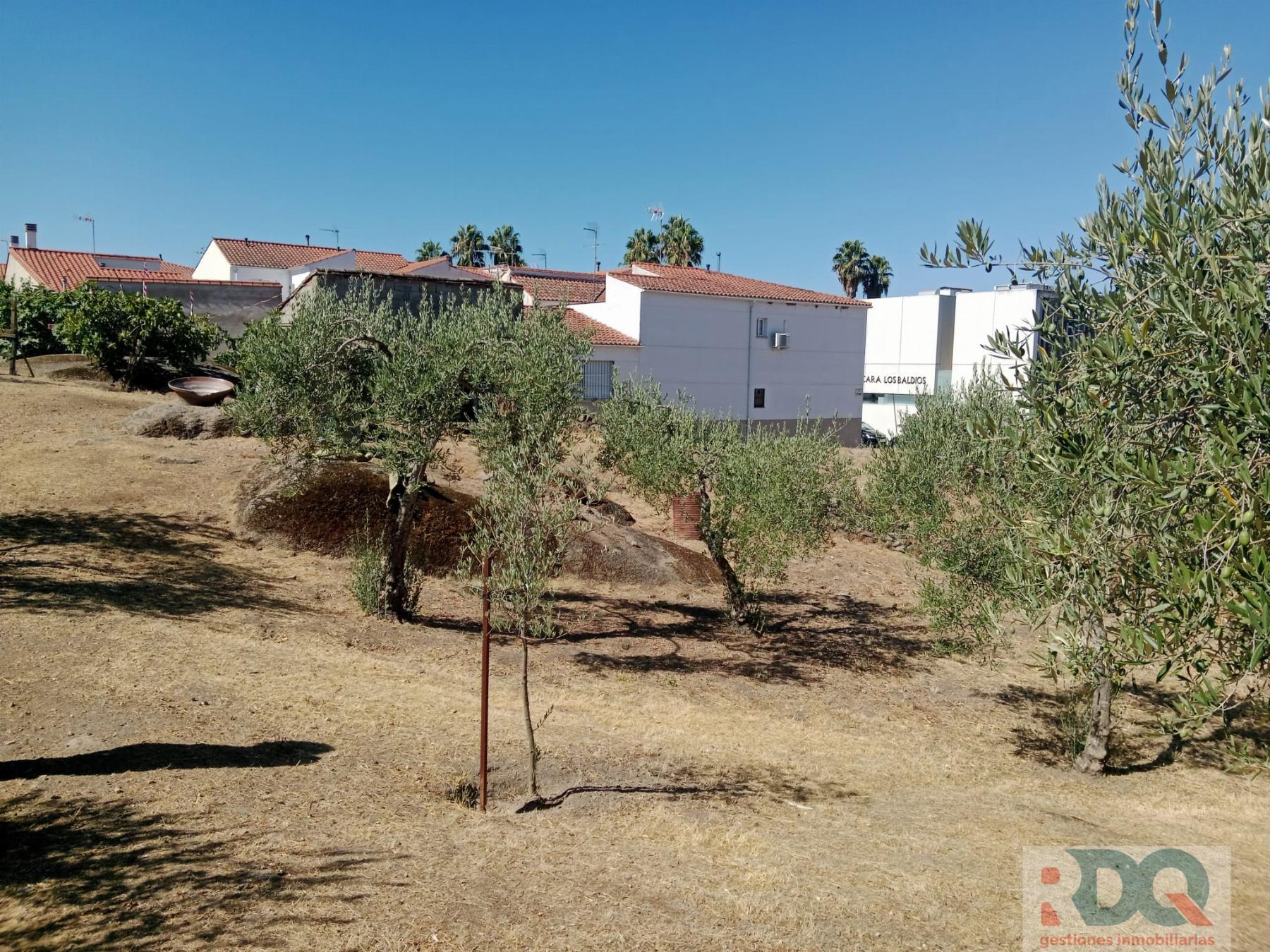 Venta de chalet en Alburquerque