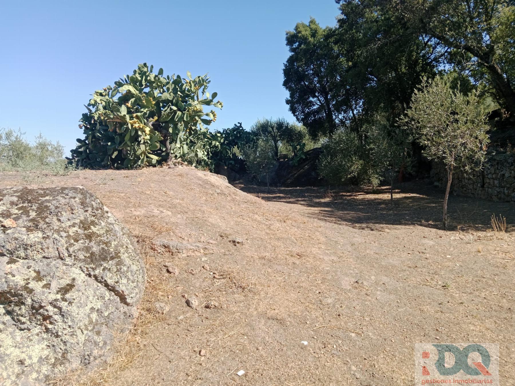 Venta de chalet en Alburquerque