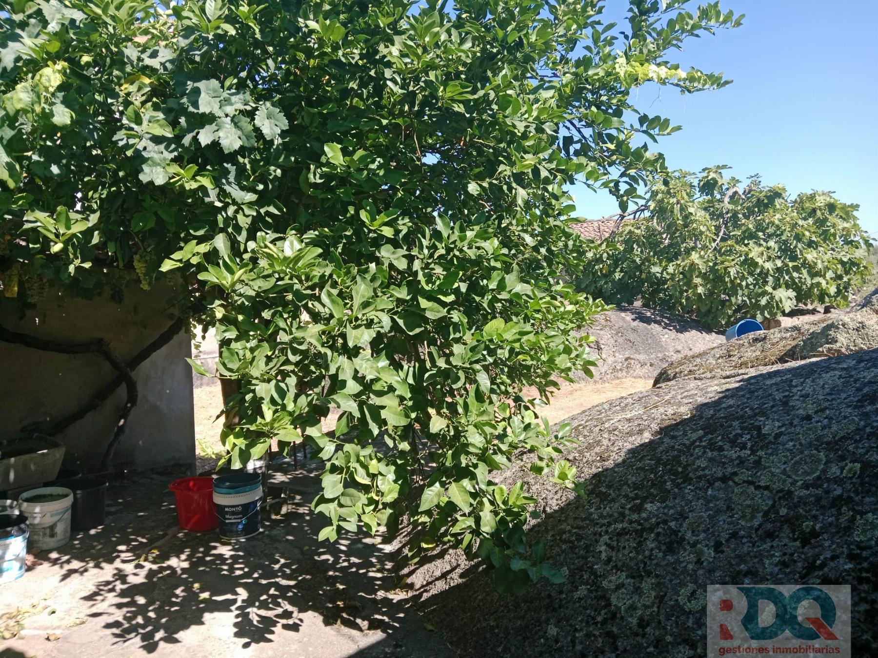 Venta de chalet en Alburquerque