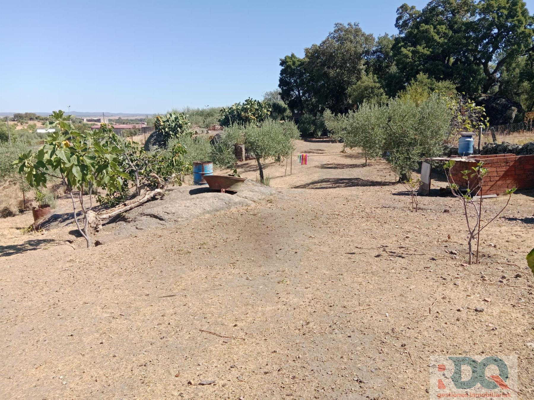 Venta de chalet en Alburquerque
