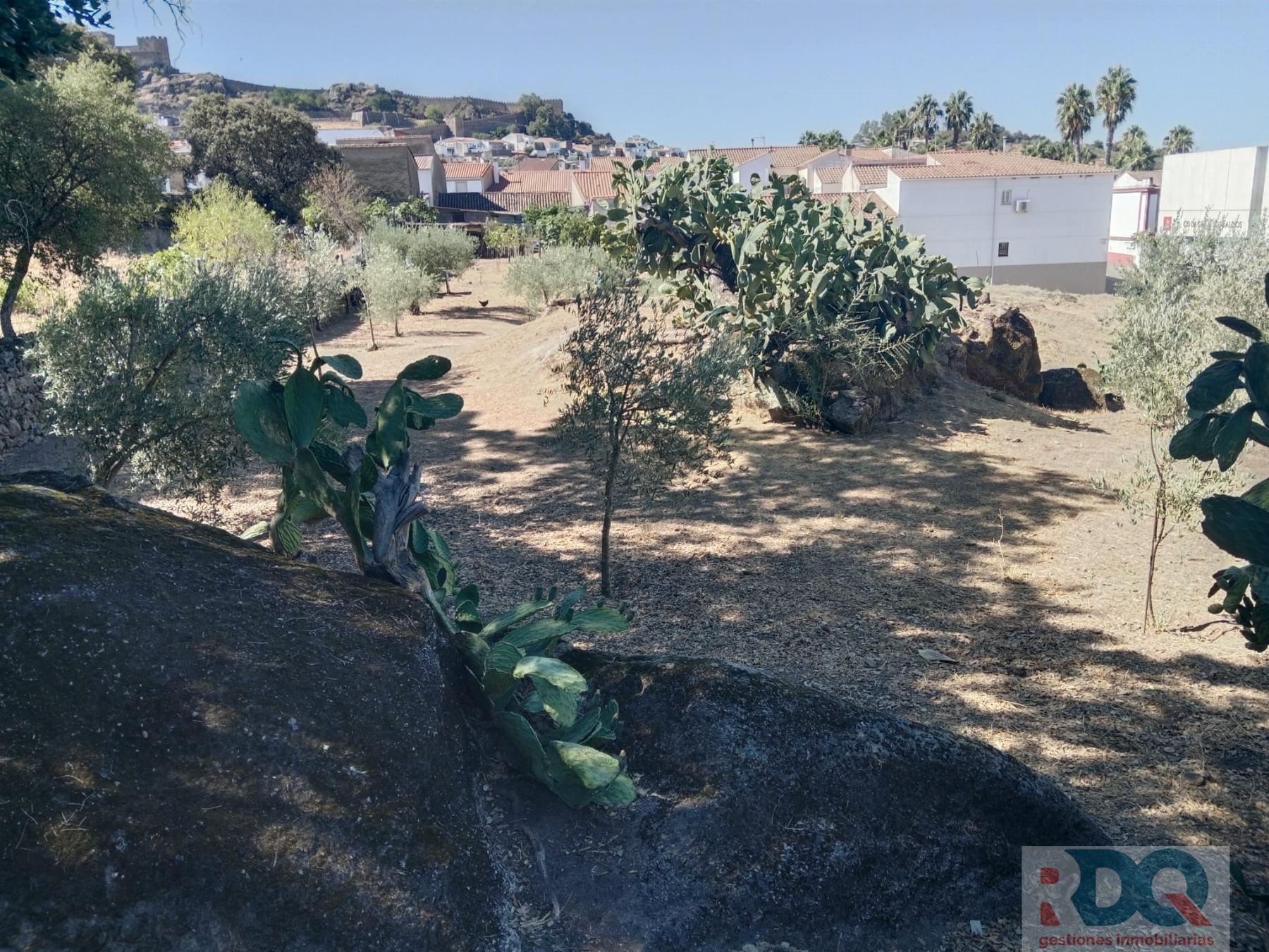 Venta de chalet en Alburquerque