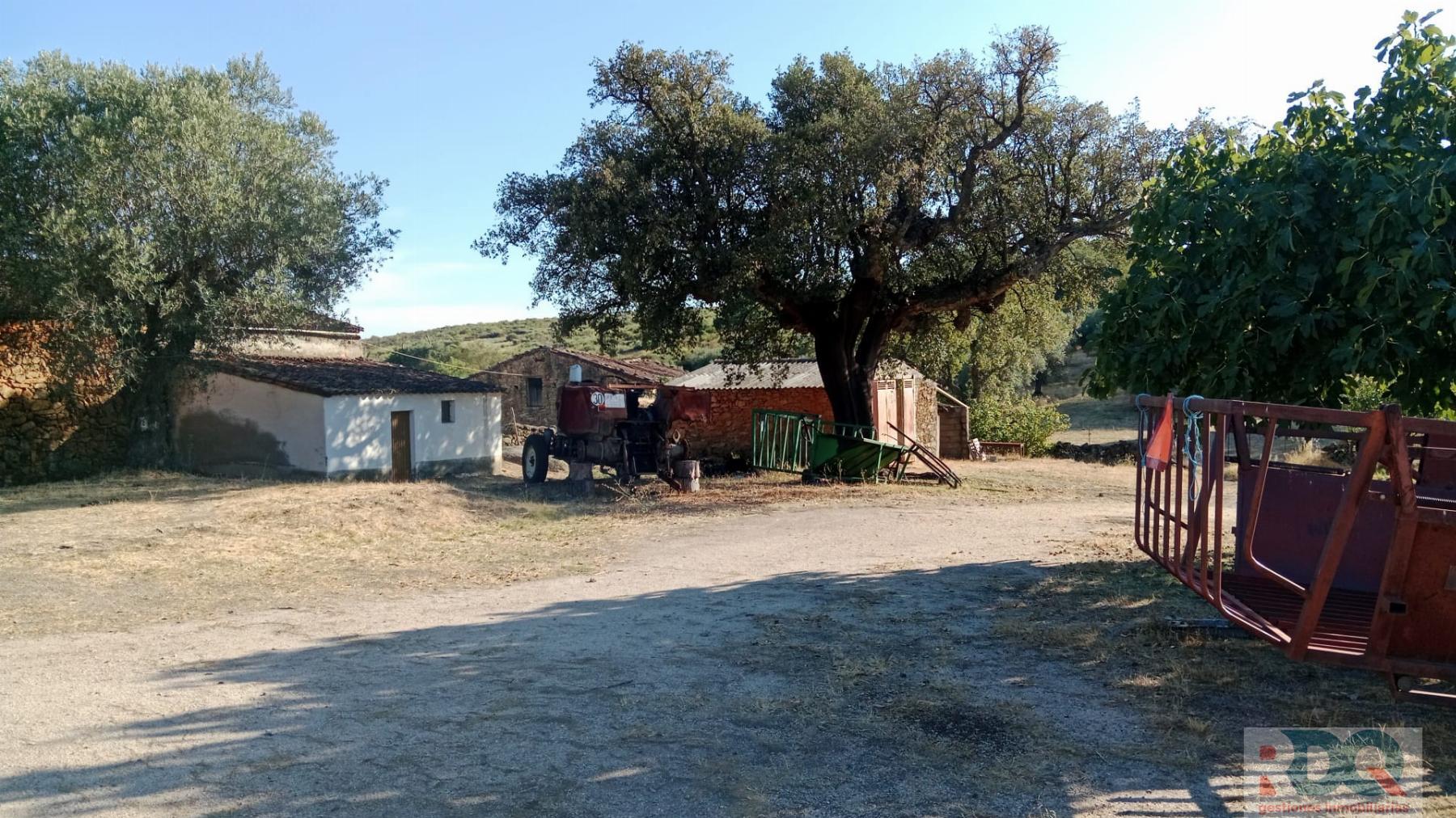 Venta de finca rústica en Valencia de Alcántara