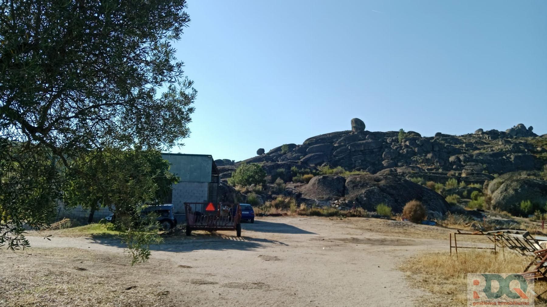 Venta de finca rústica en Valencia de Alcántara