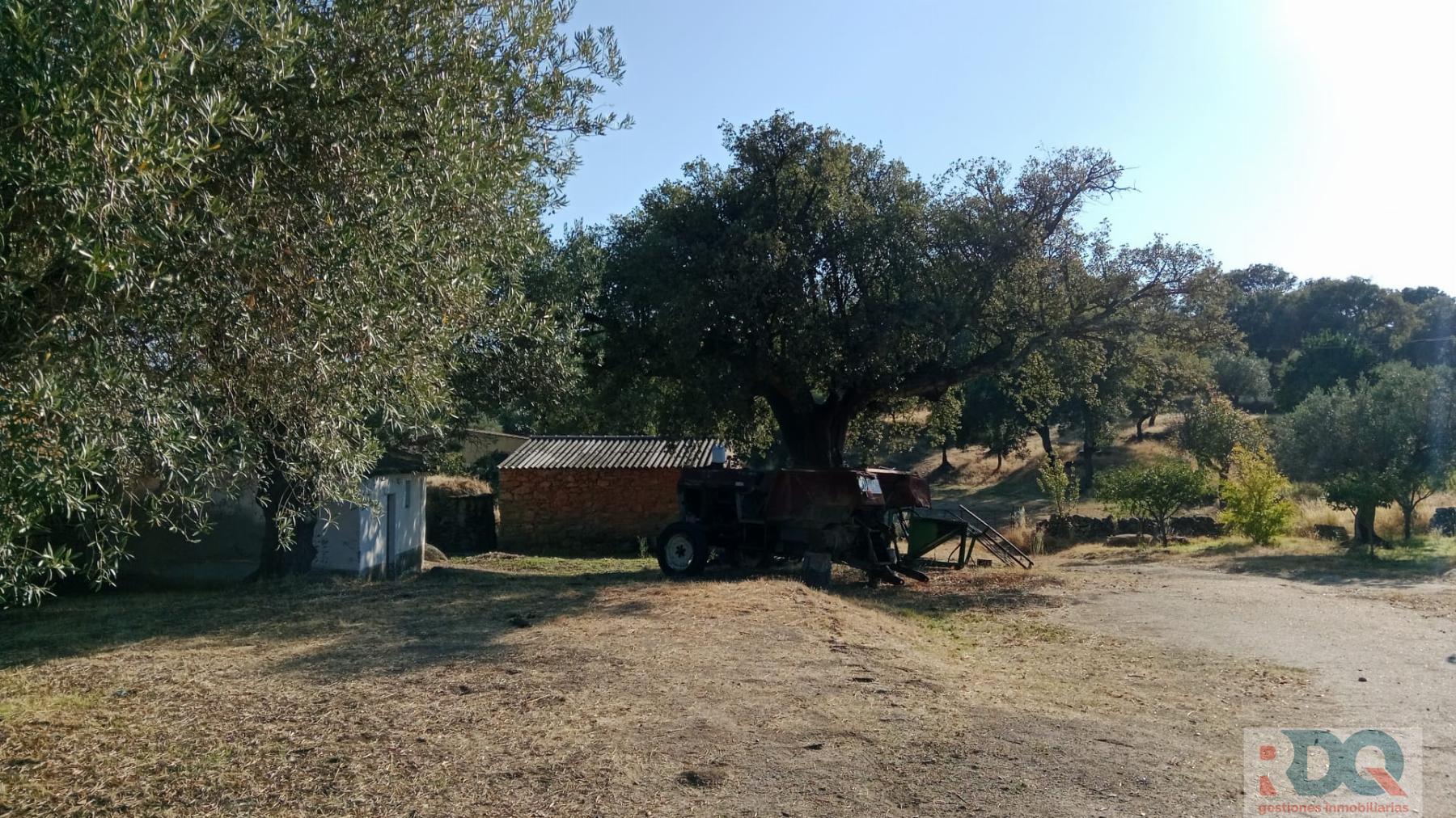 Venta de finca rústica en Valencia de Alcántara