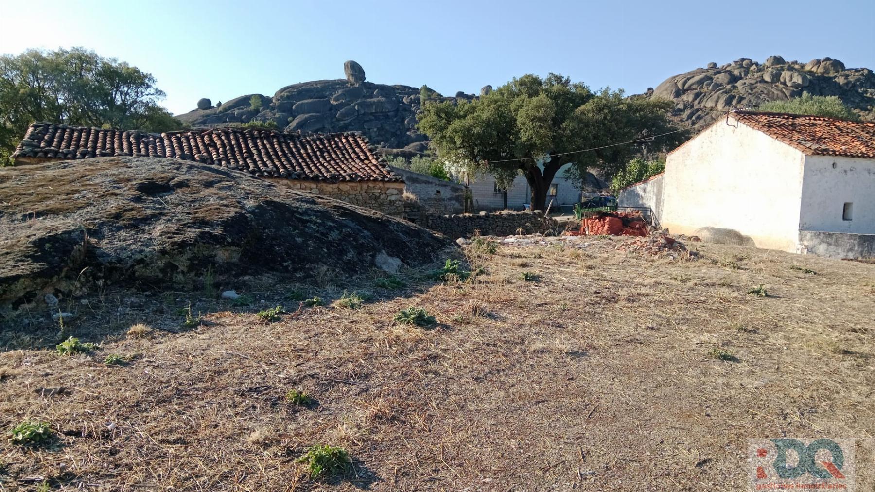Venta de finca rústica en Valencia de Alcántara