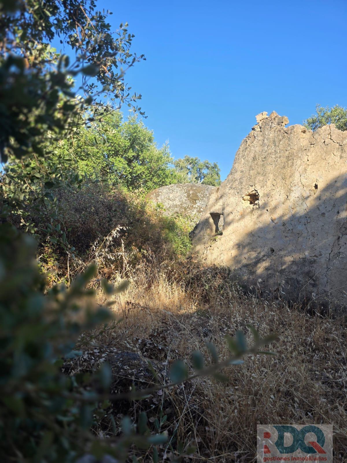 Venta de finca rústica en Valencia de Alcántara