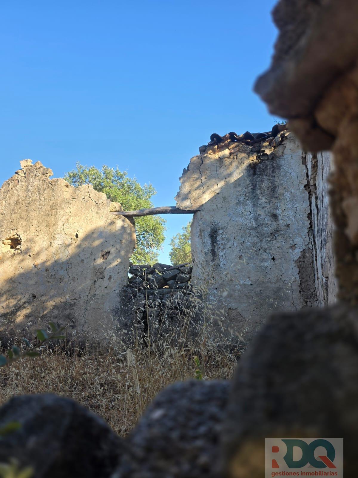 Venta de finca rústica en Valencia de Alcántara