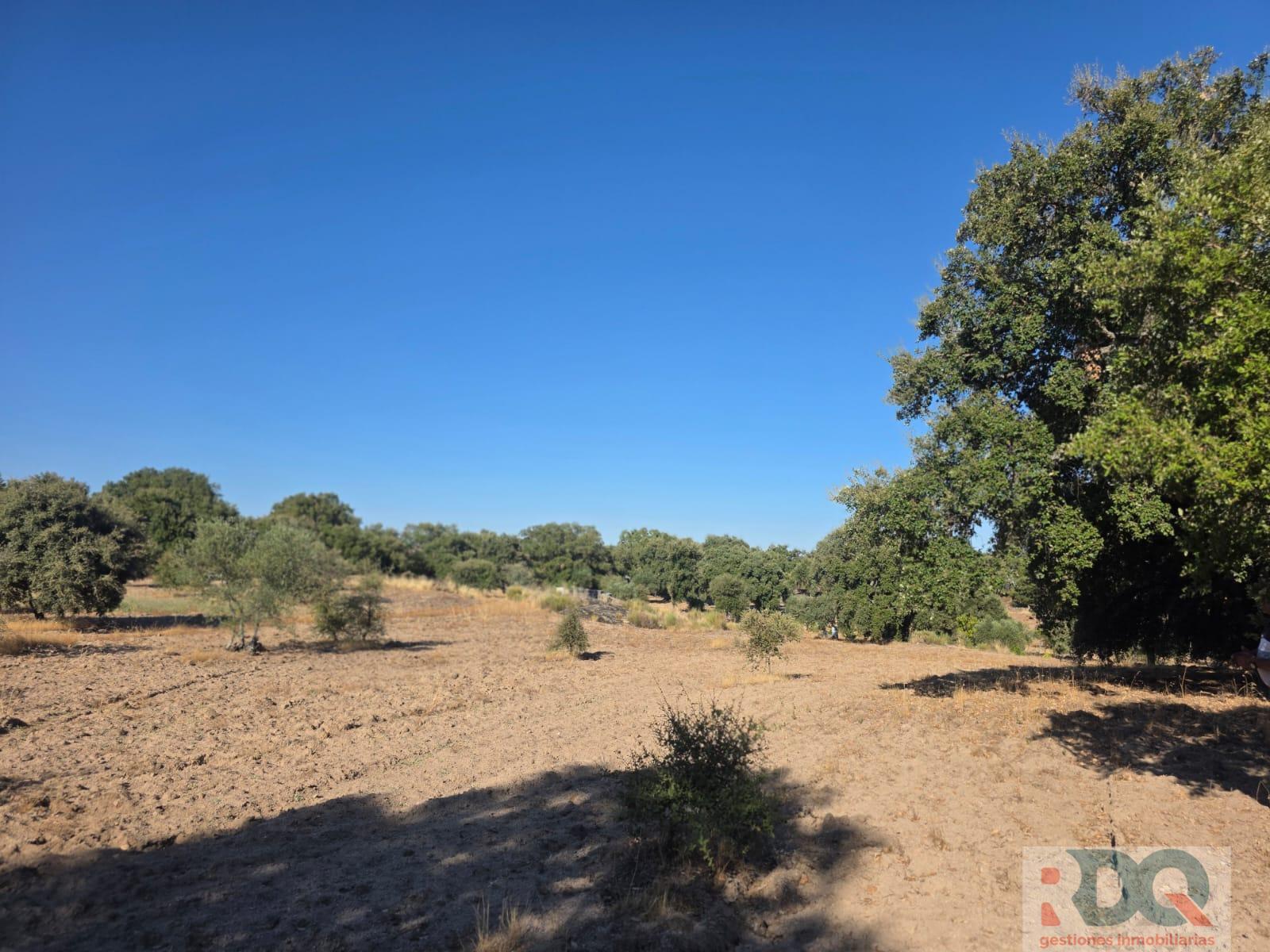 Venta de finca rústica en Valencia de Alcántara