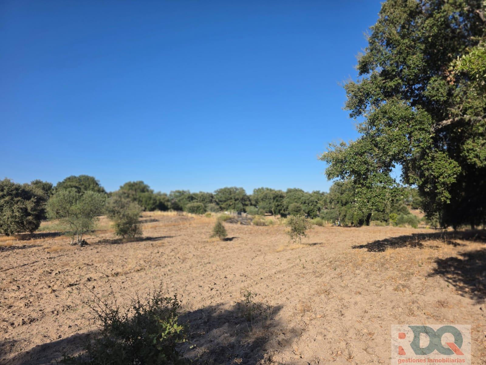 Venta de finca rústica en Valencia de Alcántara