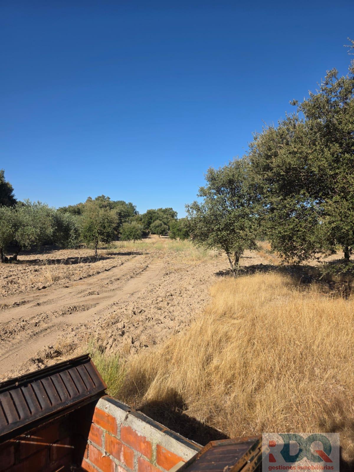 Venta de finca rústica en Valencia de Alcántara