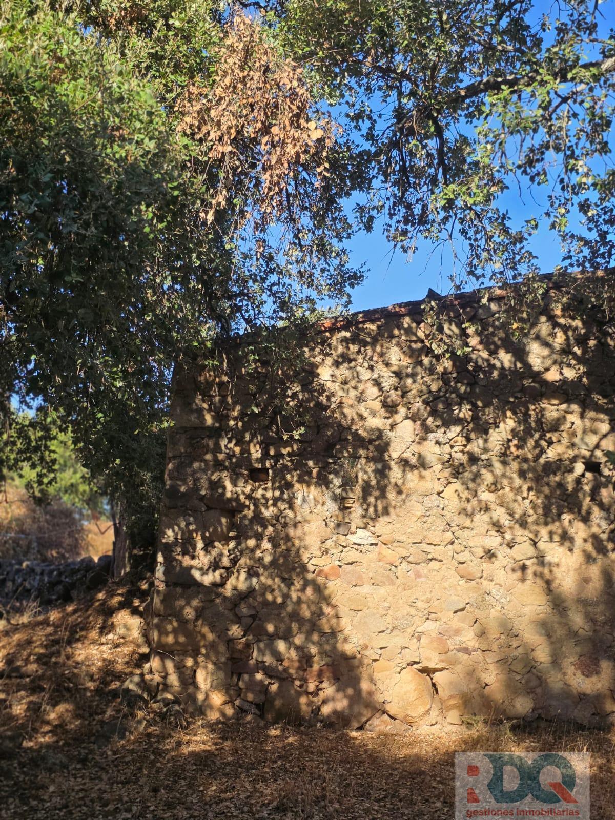 Venta de finca rústica en Valencia de Alcántara