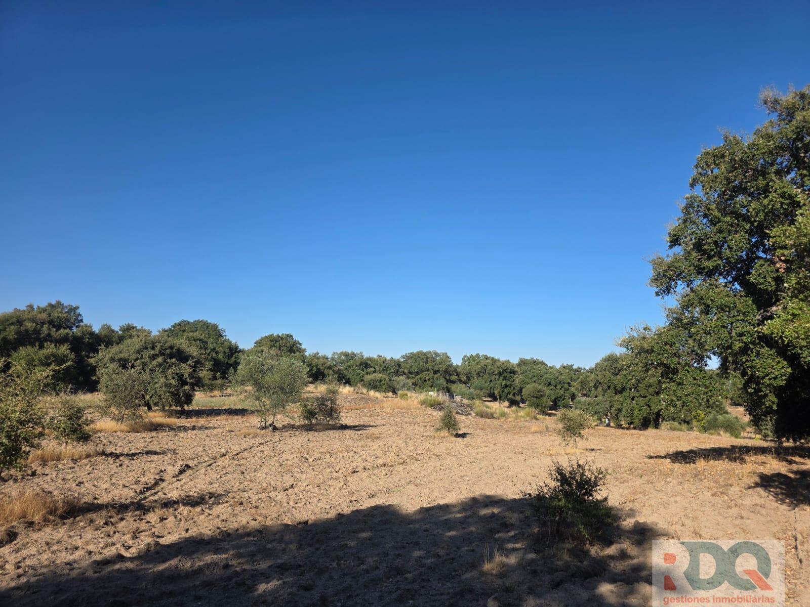 Venta de finca rústica en Valencia de Alcántara