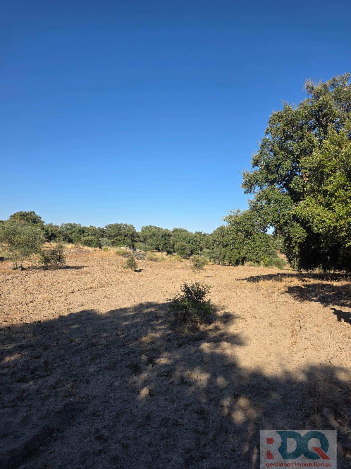 Venta de finca rústica en Valencia de Alcántara