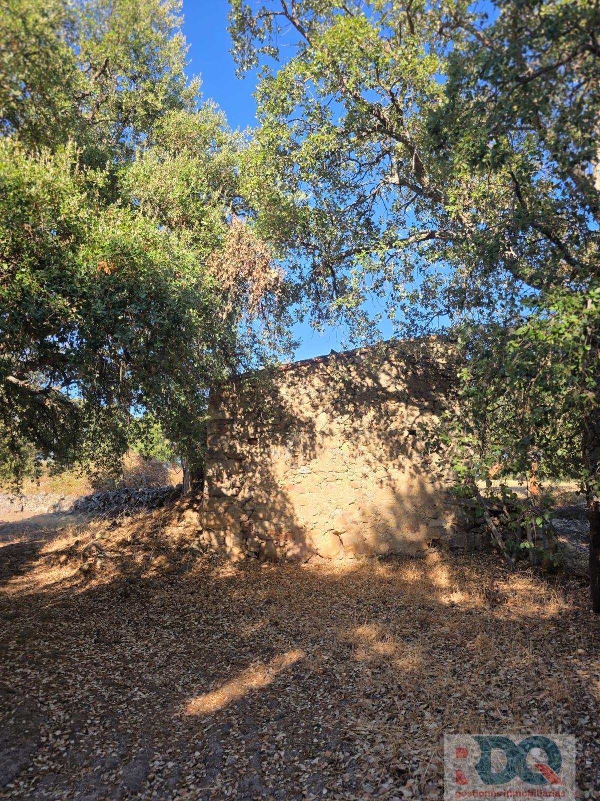 Venta de finca rústica en Valencia de Alcántara