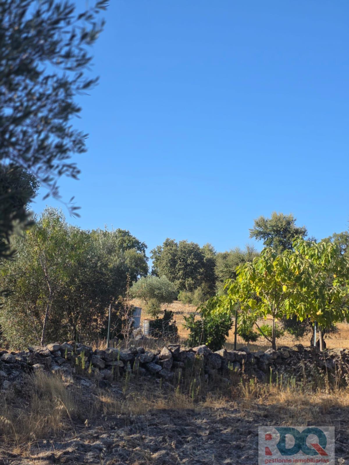 Venta de finca rústica en Valencia de Alcántara