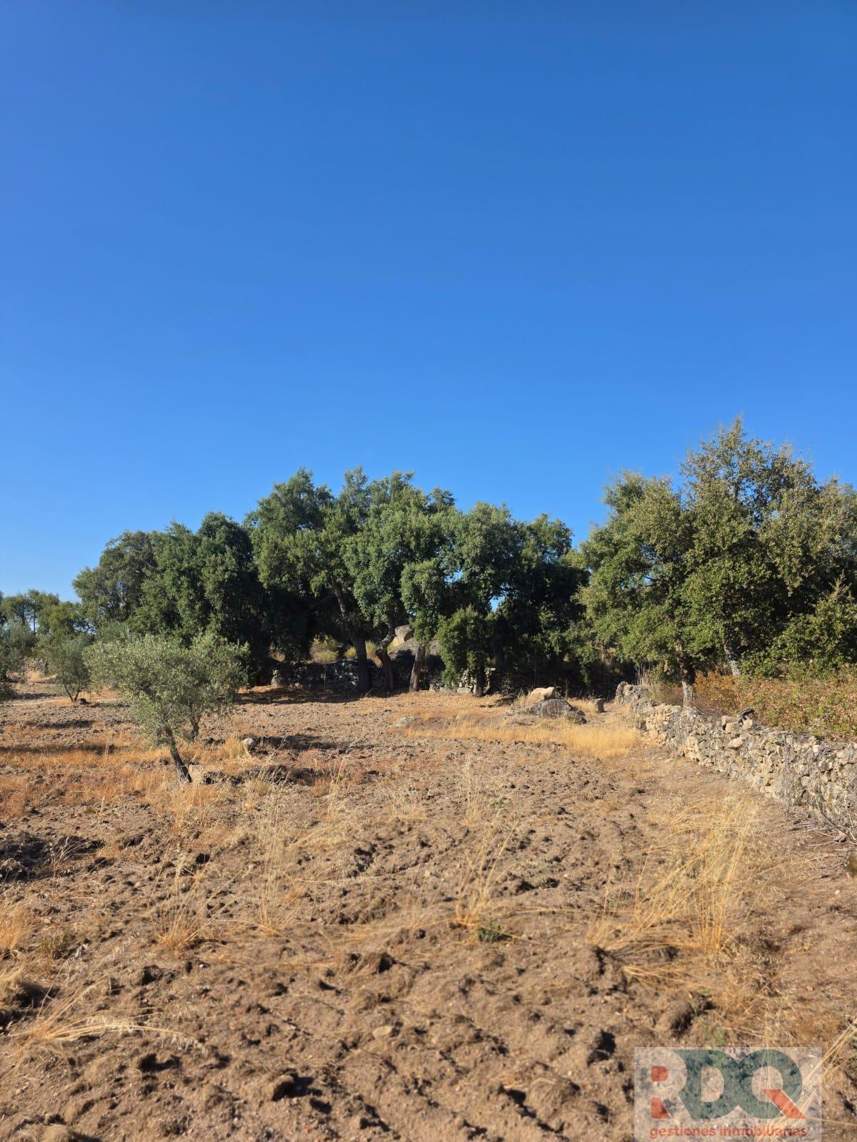 Venta de finca rústica en Valencia de Alcántara