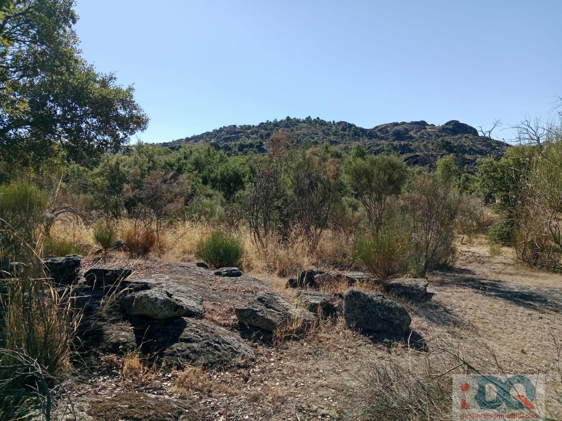 Venta de finca rústica en Valencia de Alcántara