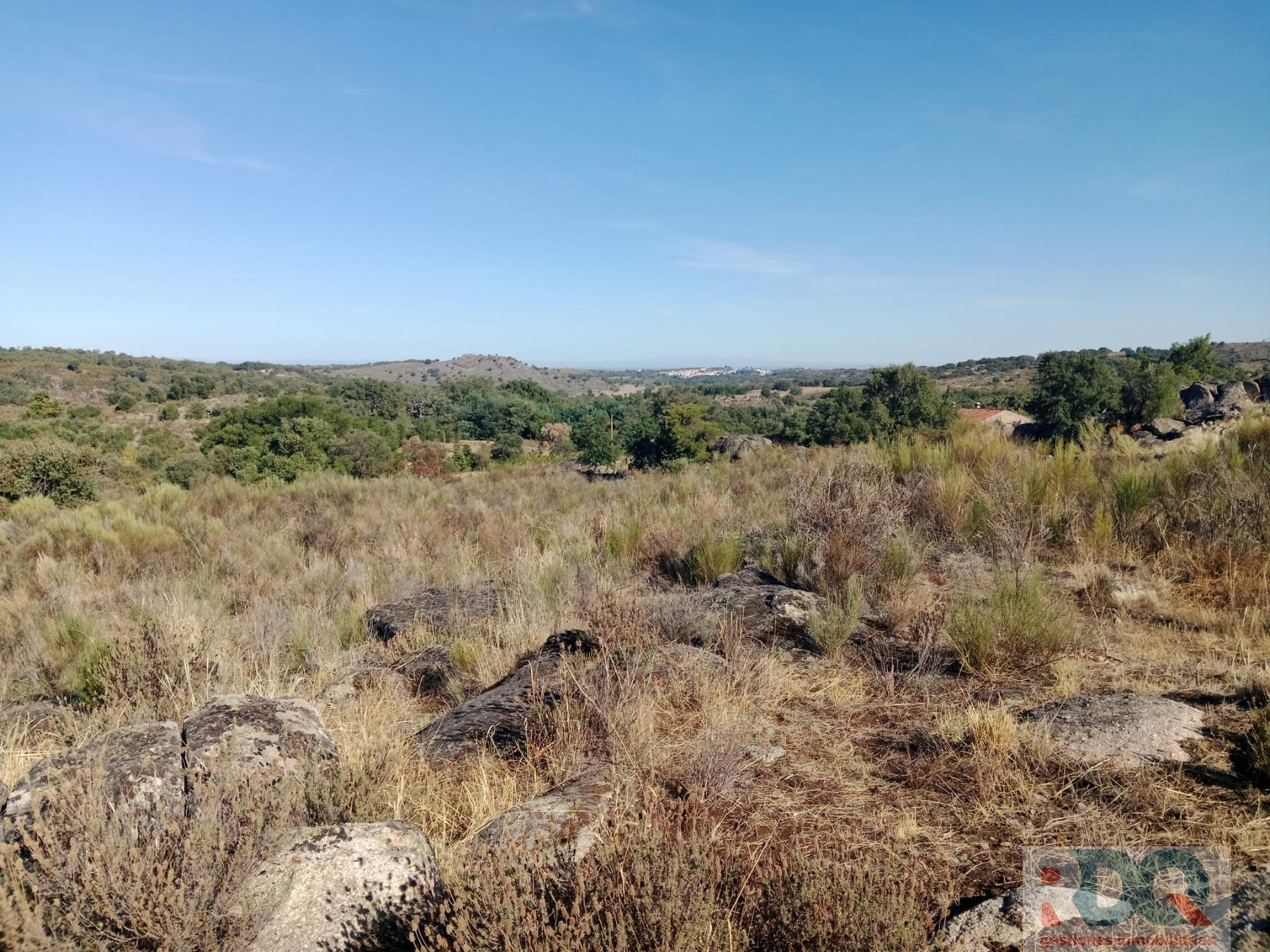 Venta de finca rústica en Valencia de Alcántara