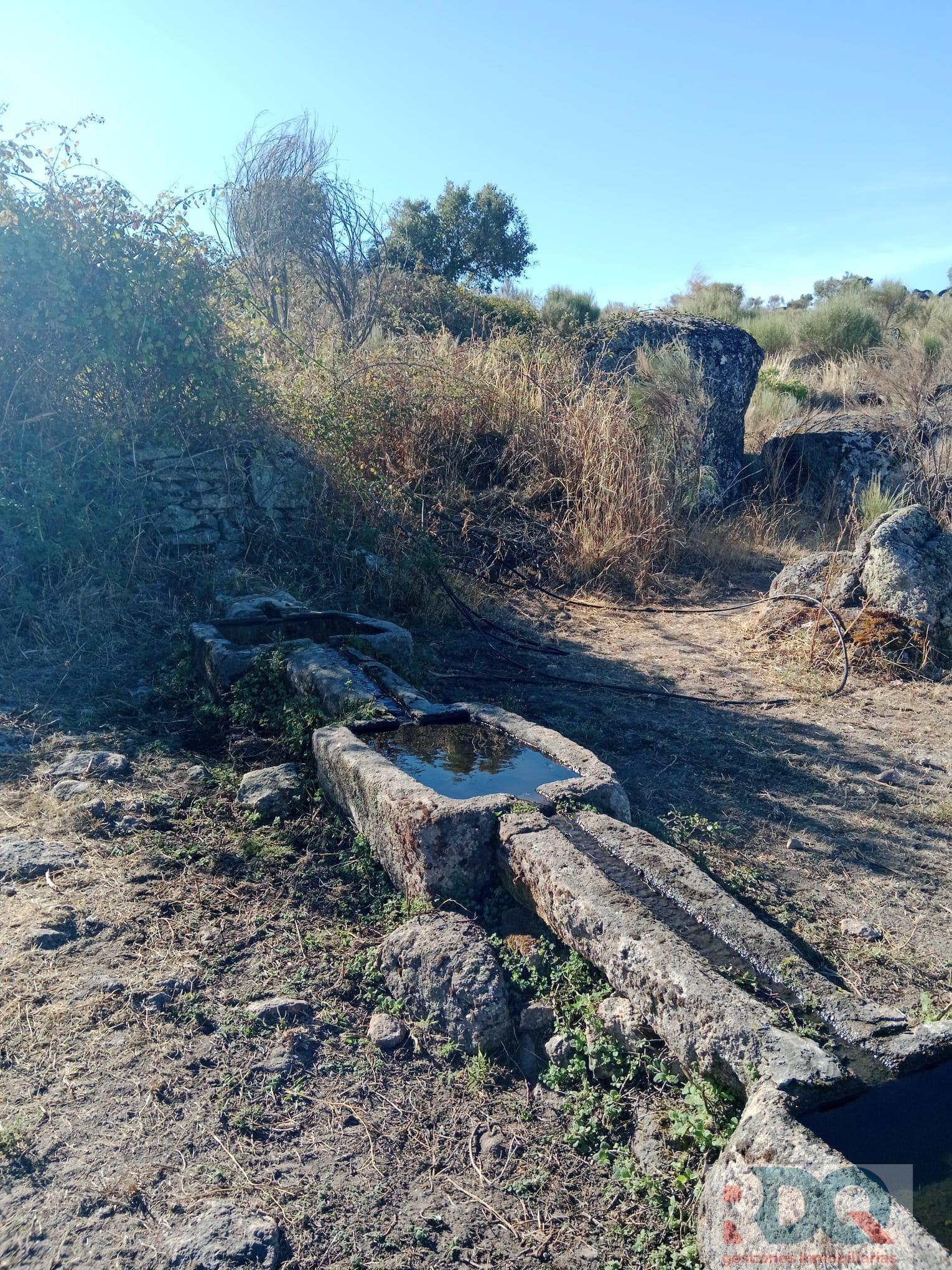 Venta de finca rústica en Valencia de Alcántara