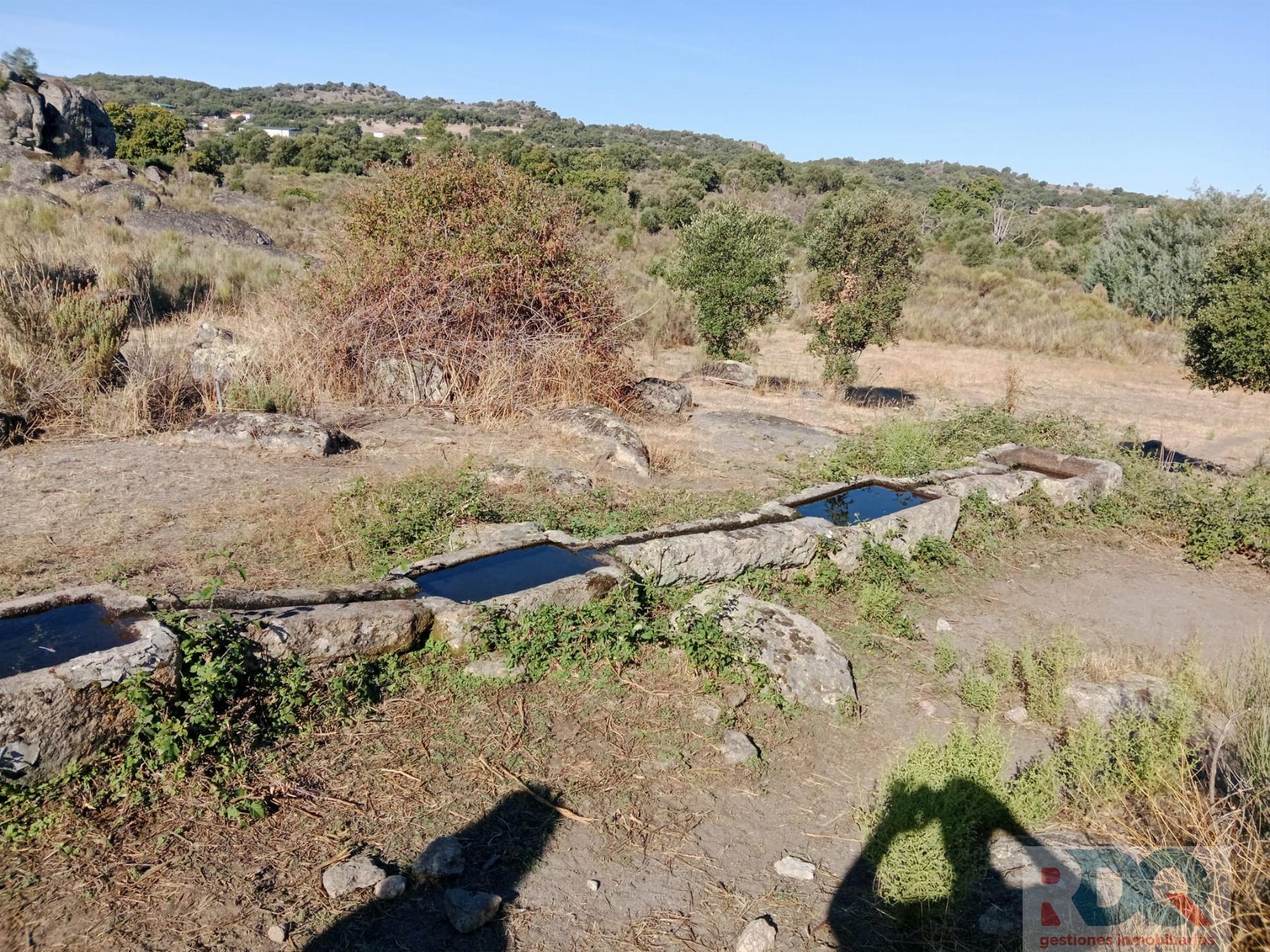 Venta de finca rústica en Valencia de Alcántara