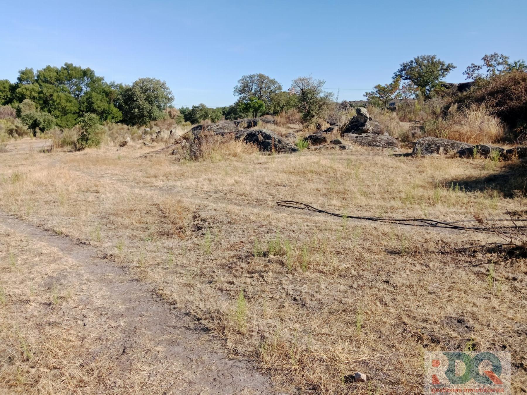 Venta de finca rústica en Valencia de Alcántara