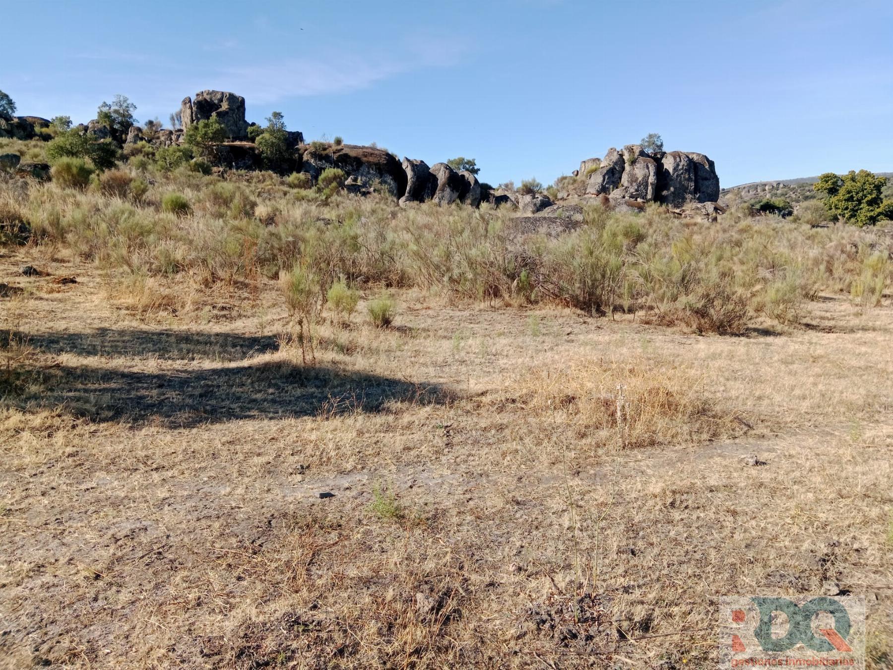 Venta de finca rústica en Valencia de Alcántara