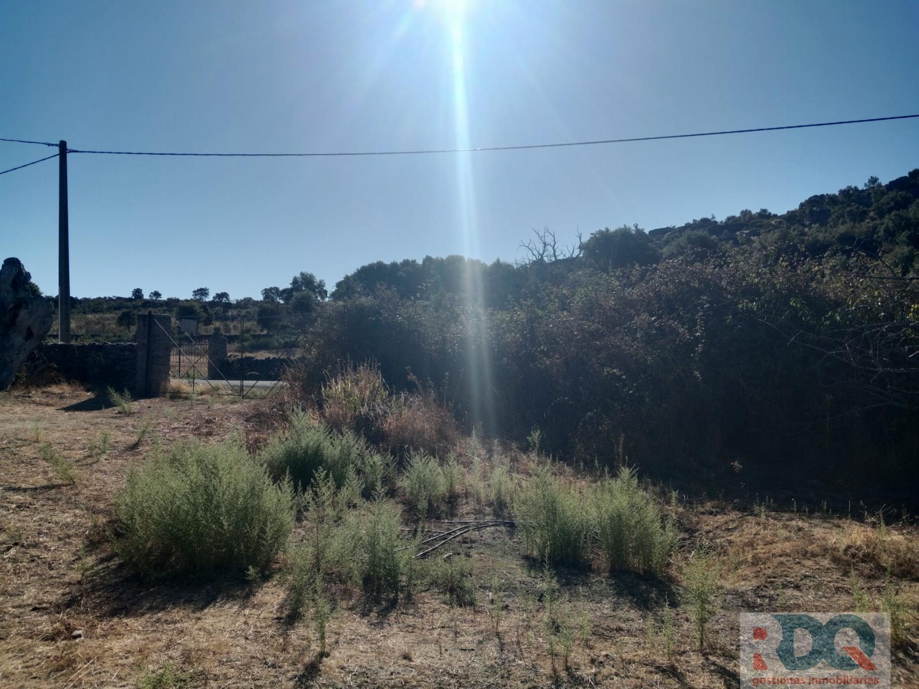 Venta de finca rústica en Valencia de Alcántara