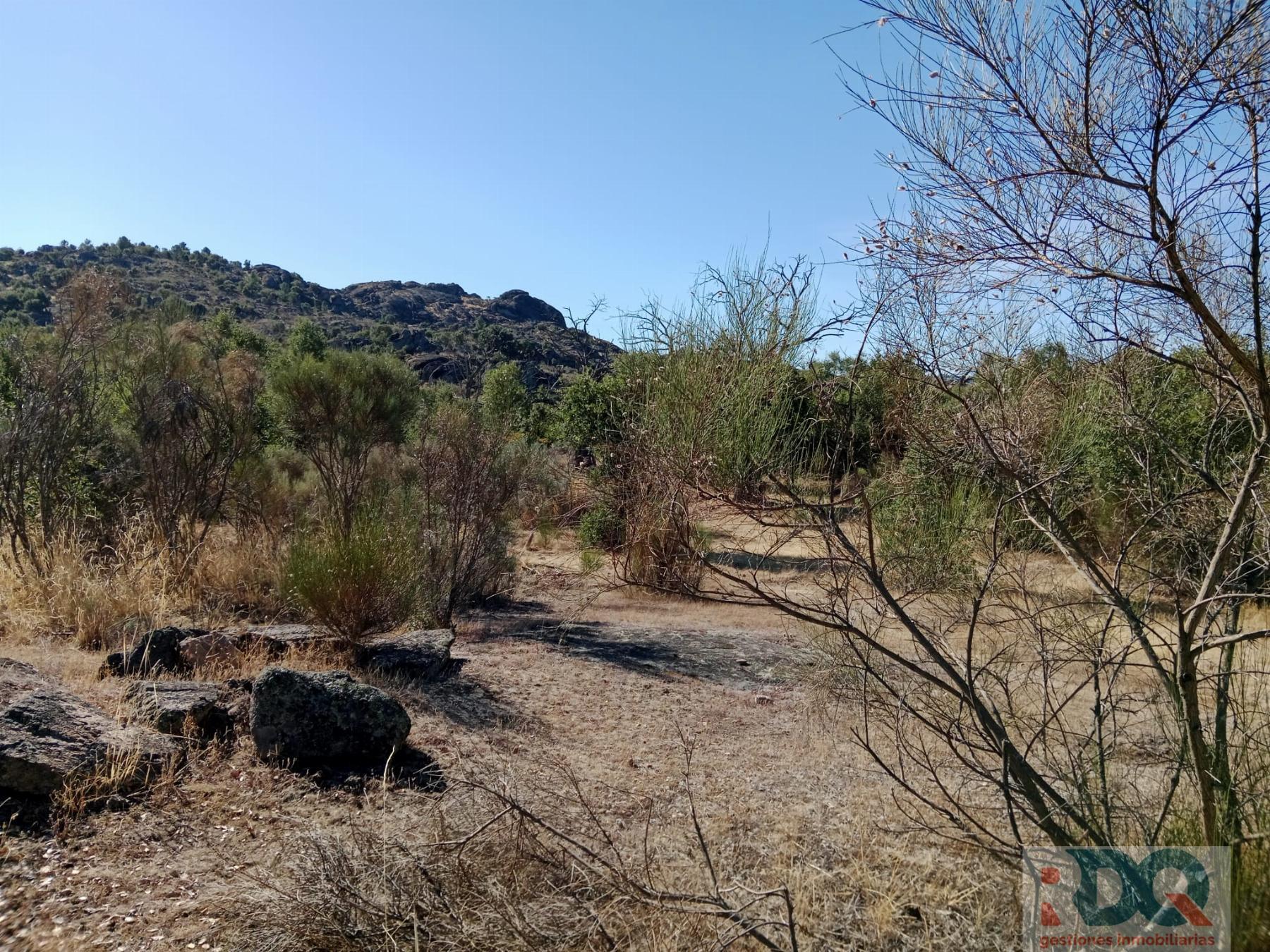 Venta de finca rústica en Valencia de Alcántara