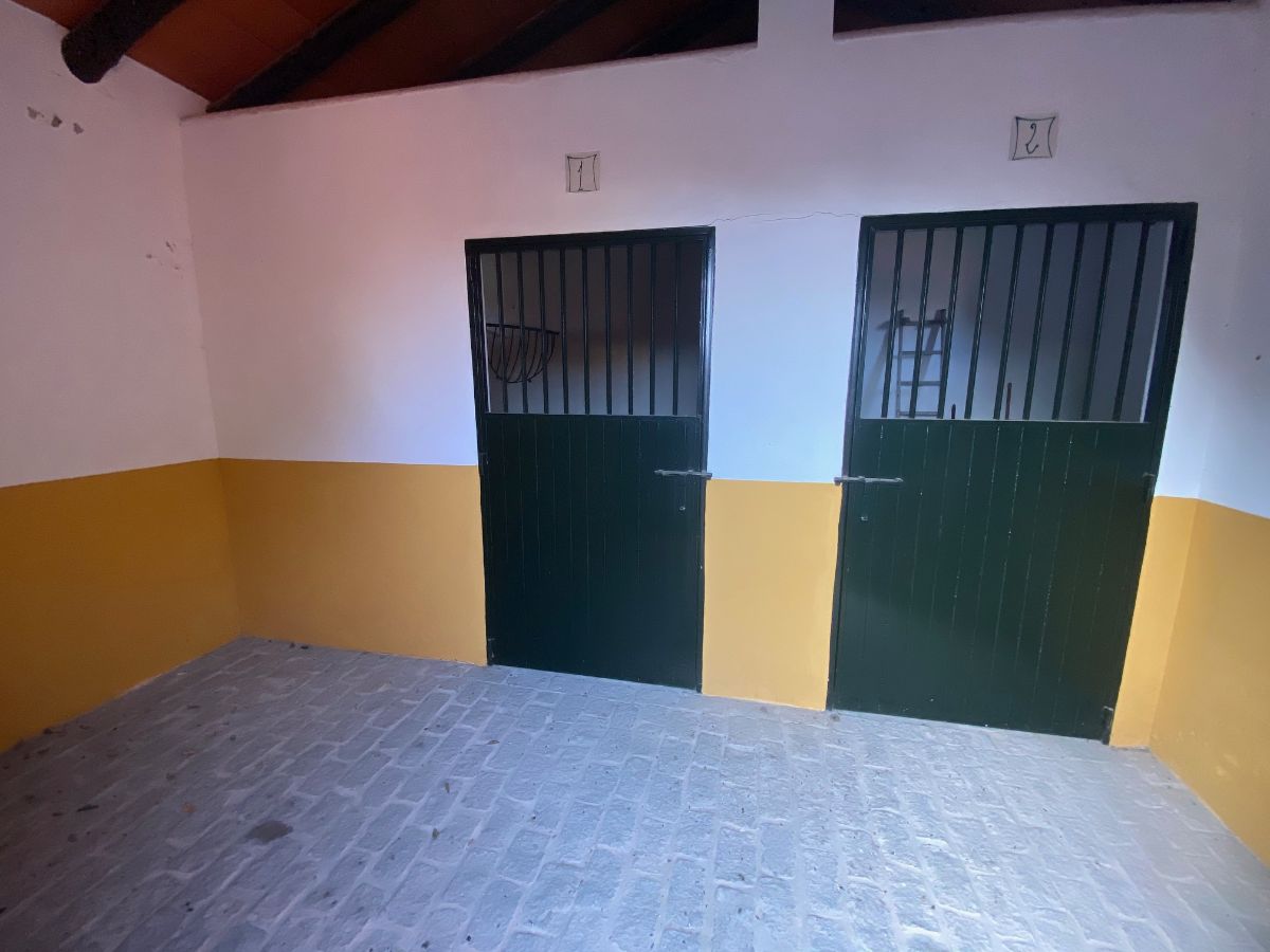 Venta de chalet en El Puerto de Santa María