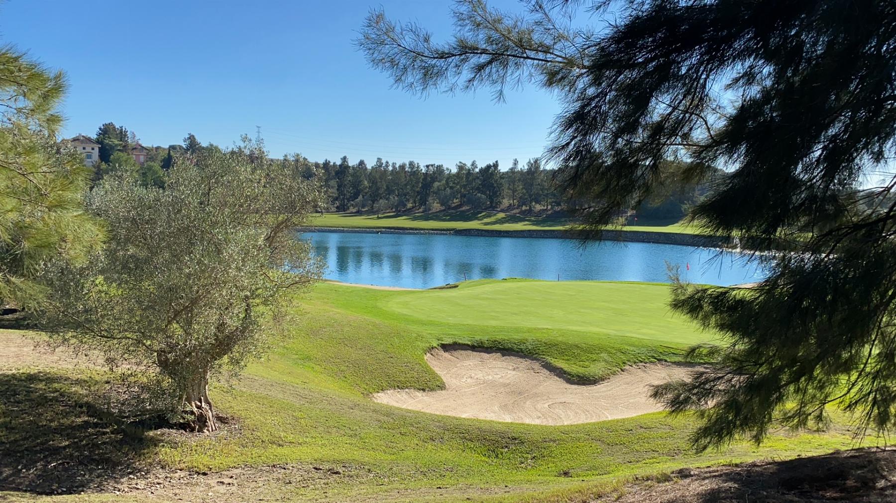 Venta de terreno en Jerez de la Frontera