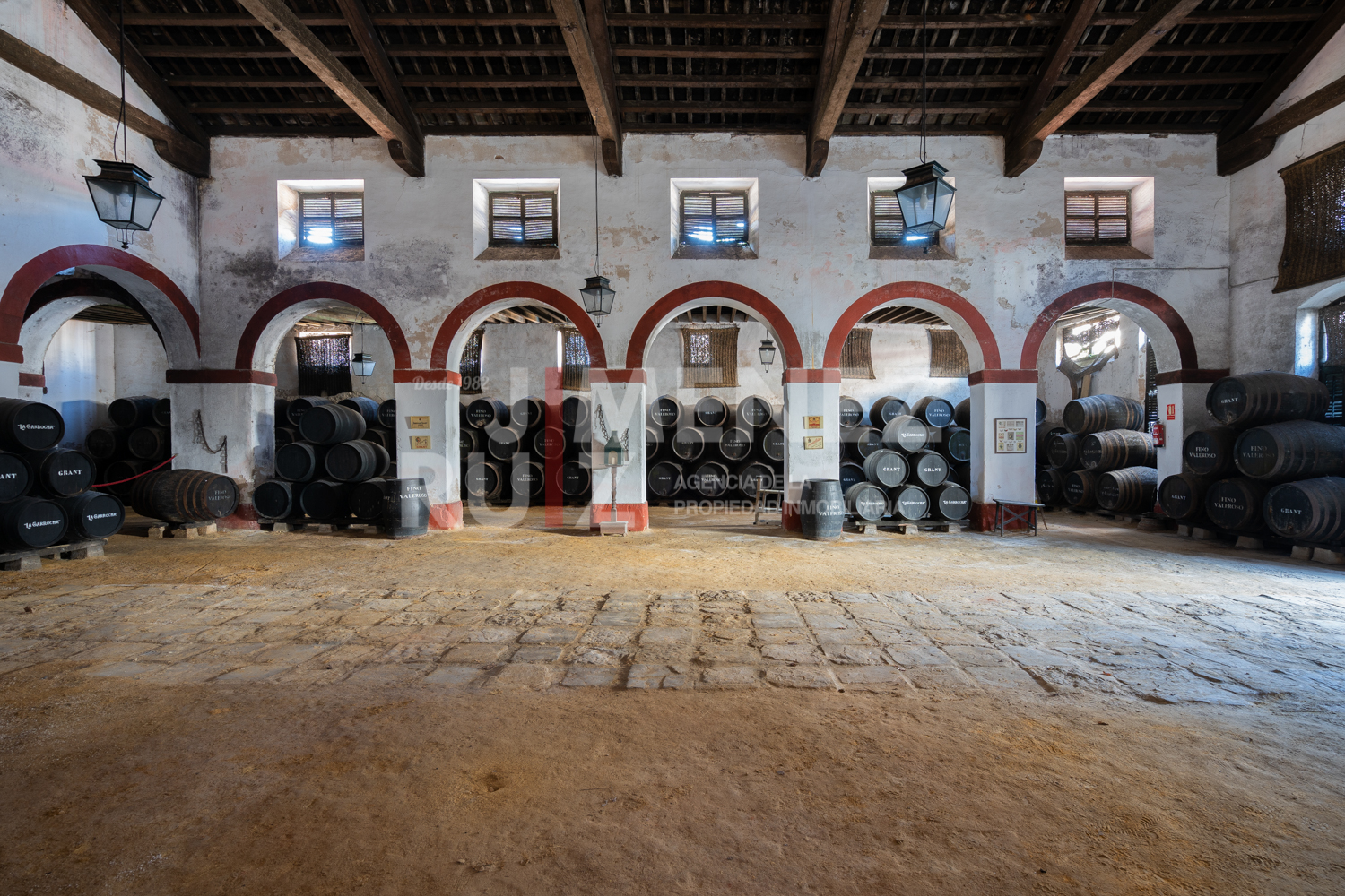 Cellar