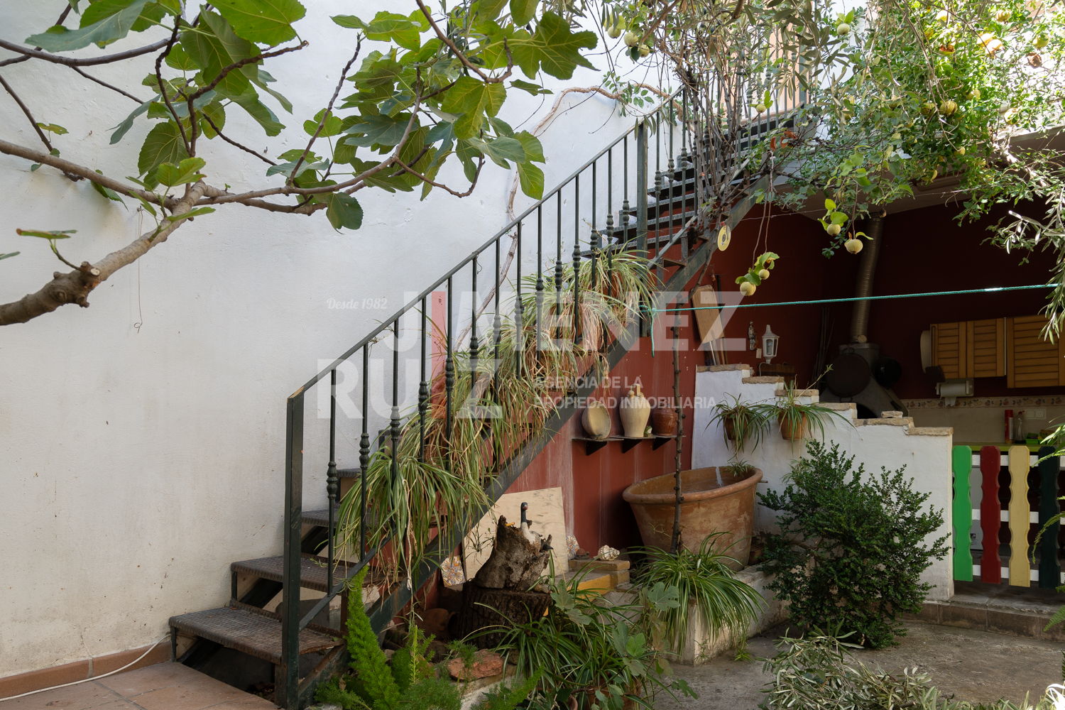 Jardín