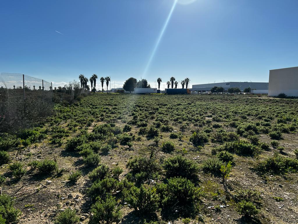 For sale of land in El Puerto de Santa María