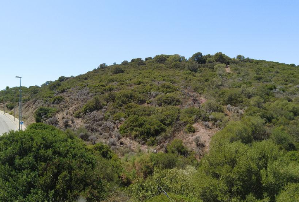 For sale of land in Jerez de la Frontera