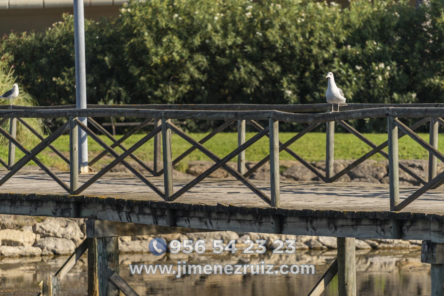 For rent of commercial in El Puerto de Santa María