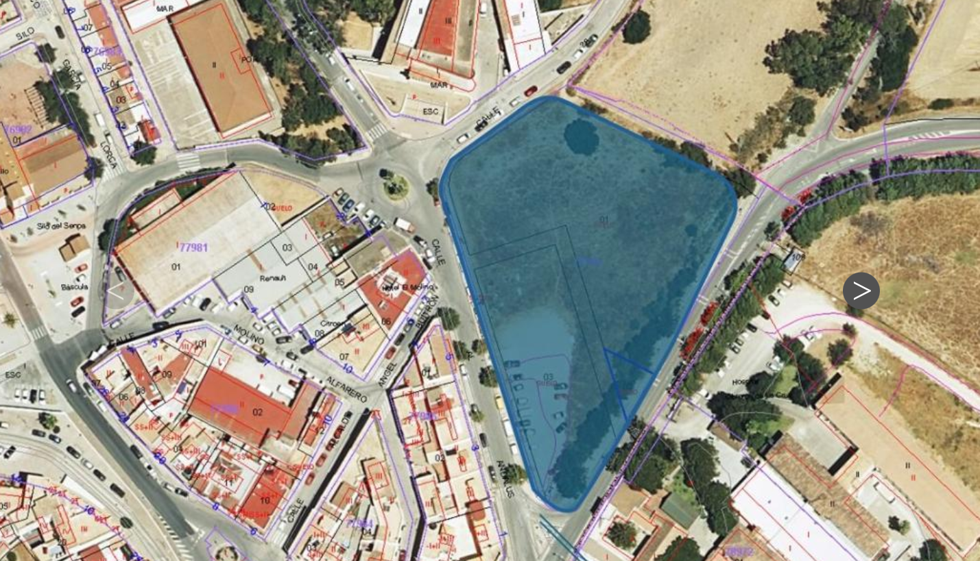 For sale of land in Medina Sidonia