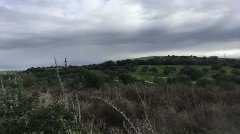 Venta de terreno en Jerez de la Frontera