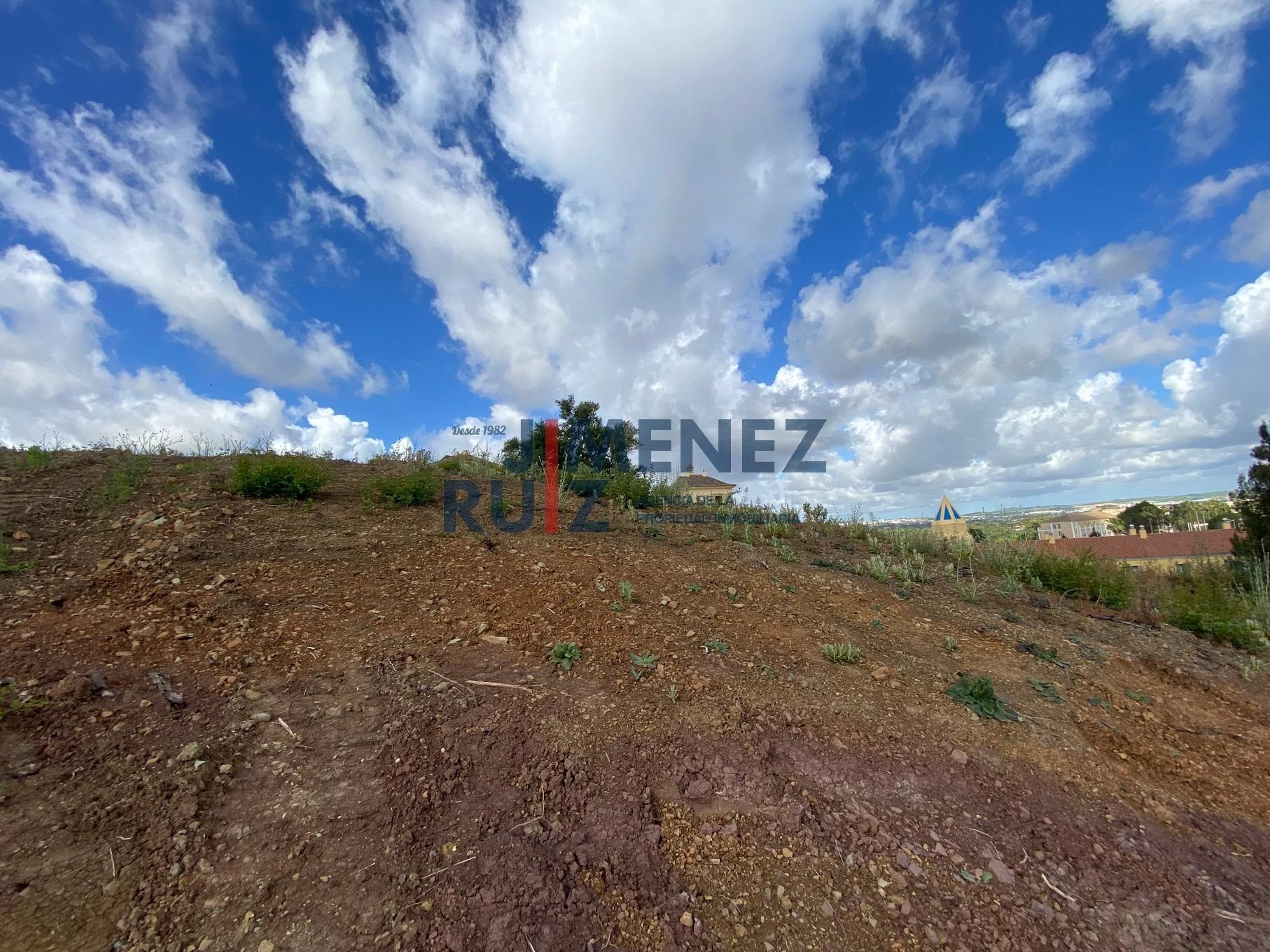 Venta de terreno en Jerez de la Frontera