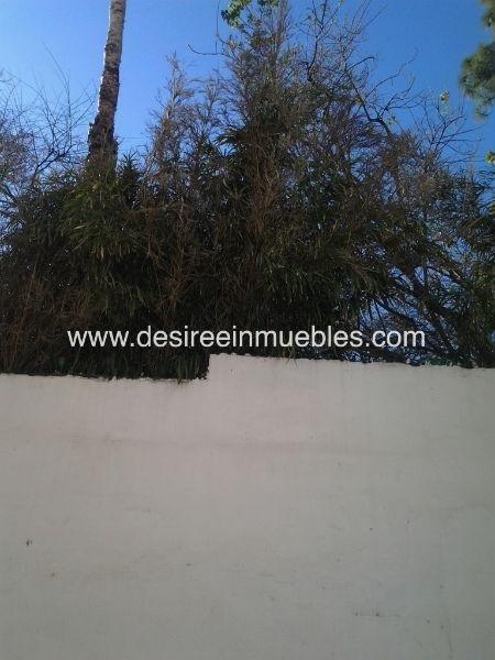 Zu verkaufen von geschäftsräume in
 Valencia