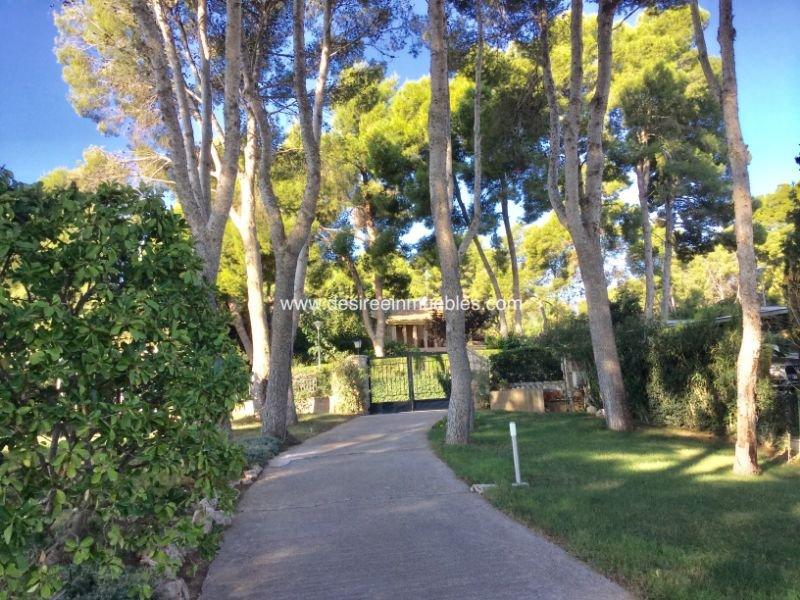 Verkoop van kleine villa in Chiva