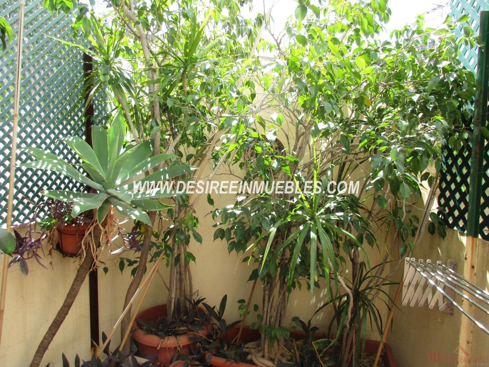 For sale of flat in Valencia