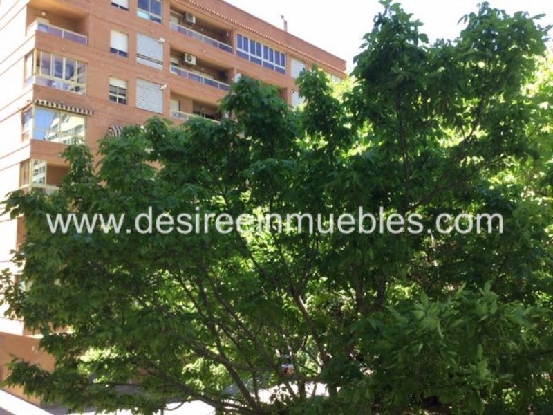 For rent of office in Valencia