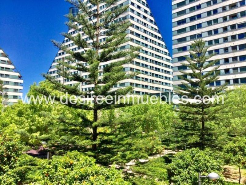 For rent of office in Valencia